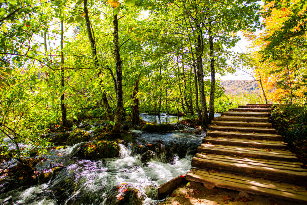 istock Amazing waterfall in Plitvice in fall season, Croatia 1197776050