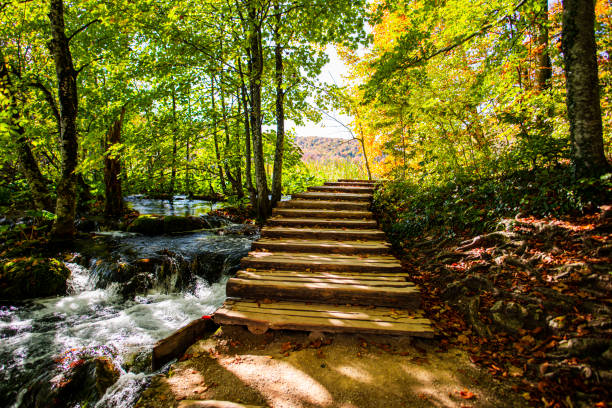 istock Amazing waterfall in Plitvice in fall season, Croatia 1197776083