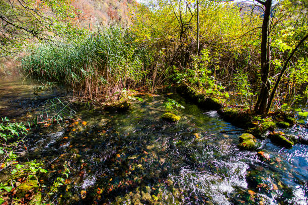 Beautiful Krka river waterfall landscape, Krka National Park in Dalmatia region, Croatia, Europe