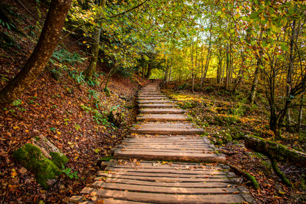 istock Amazing mountain lake, Plitvice 1197778351