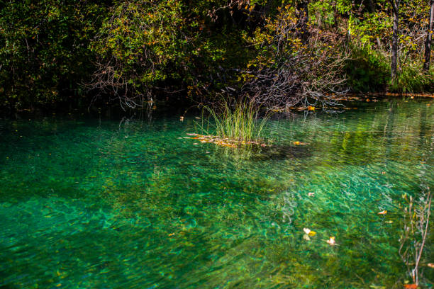 Beautiful water at Plitvice , Croatia
