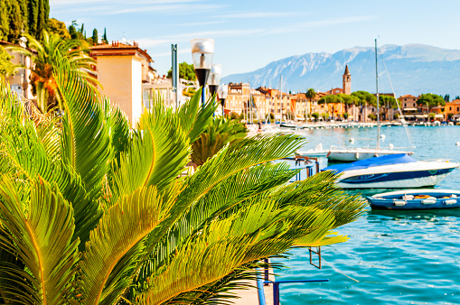 Garda lake western shore, Lombardy Italy. View on medieval Toscolano Maderno cityscape through palm leaves growing on promenade and piers with parked boats on blue water of amazing lake Garda