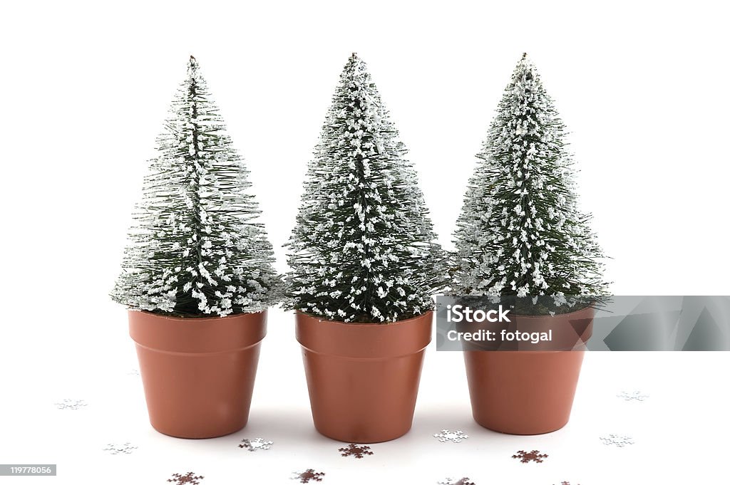 Pequenas neve-adornada de árvores - Foto de stock de Decoração royalty-free