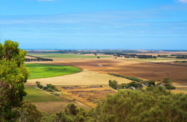 istock view from Mount Schank, South Australia 1197783076