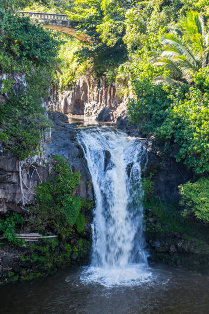istock The famous Oheo Pools in Maui, Hawaii 1197784331