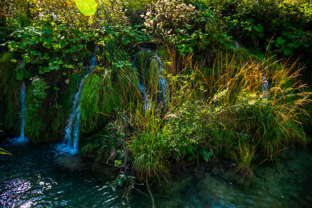Beautiful water at Plitvice , Croatia