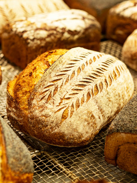 Bread, Brown Bread, Baguette, Food, Food and Drink,Dough, Alternative Lifestyle, Backgrounds,sourdough,Wholegrain,Sourdough Bread,Artisanal Food and Drink, Yeast,