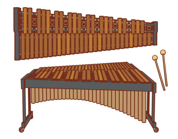 Marimba isolated on white. Marimba isolated on white. Vector illustration. marimba stock illustrations