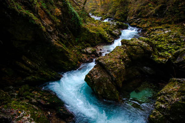 istock Autumn landscape in the wild river gorge 1197786391