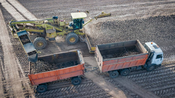 サトウキビの分野でトラクターとトラックのトップ��ビュー。空中写真 - beet sugar tractor field ストックフォトと画像