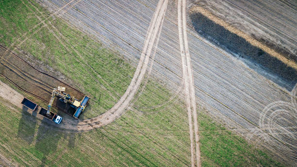 vue supérieure du tracteur et du véhicule de fret dans le domaine de la betterave à sucre. vue aérienne - beet sugar tractor field photos et images de collection