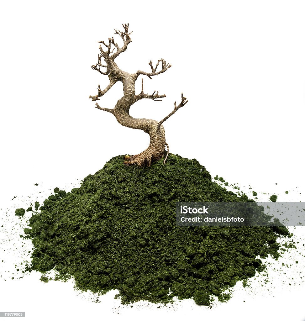 Secas bonsai - Royalty-free Acabado Foto de stock