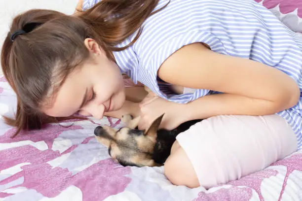 Photo of Dog toy terrier hugs and kisses the mistress