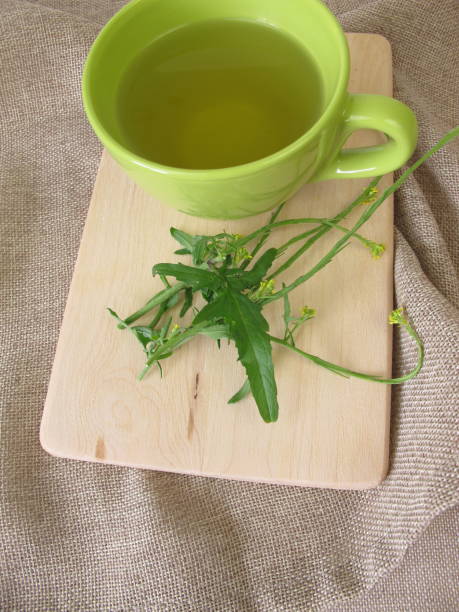 istock A cup of tea with hedge mustard 1197793001
