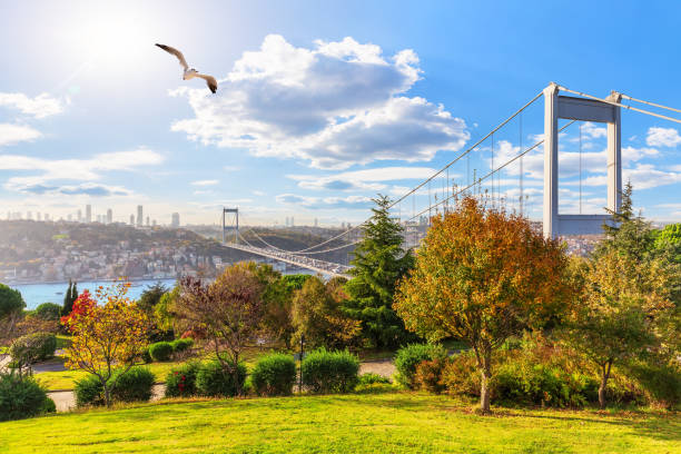 istock Sunny day in Otagtepe park, view on the Second Bosphorus Bridge, Istanbul, Turkey 1197793057