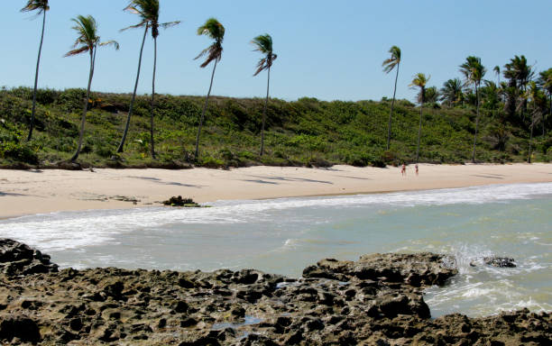 istock beach in prado, south bahia 1197800305