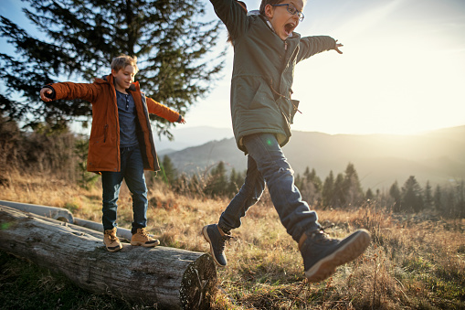 Happy kids hiking in nature. Children are walking on tree trunks, balancing with arms outstretched. At the endo of the trunk they are jumping.