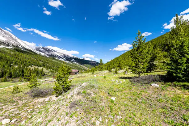 Independence Pass mining townsite wide angle view of cabins in White River National Forest in Colorado with green pine trees and snow mountain peaks
