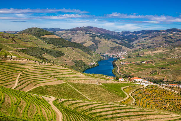 istock Douro Valley - Vila Real District, Portugal 1197803973