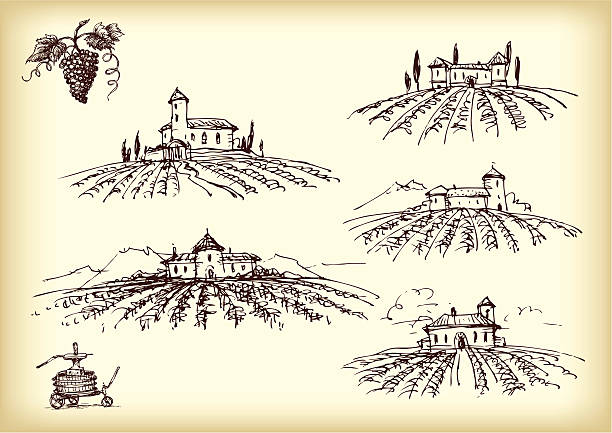 Winery Items With the Vineyards On Sepia vector art illustration