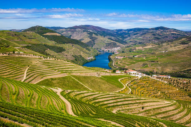Douro Valley - Vila Real District, Portugal stock photo