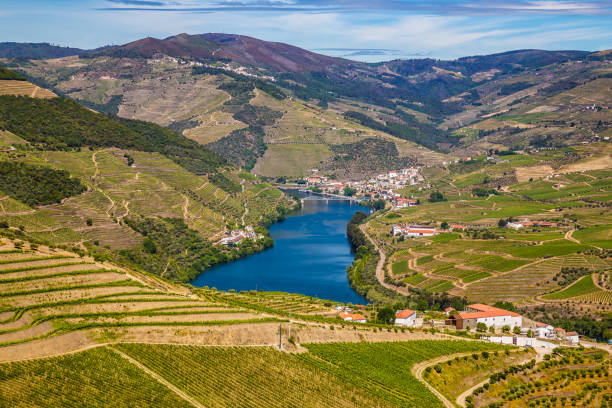 istock Douro Valley - Vila Real District, Portugal 1197804755