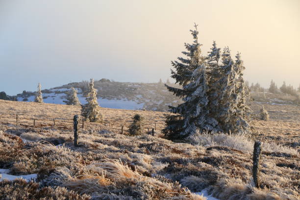 paysages des vosges en hiver - gazon-du-faing - stosswihr photos et images de collection