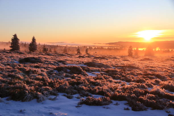 paysages des vosges en hiver - gazon-du-faing - stosswihr photos et images de collection