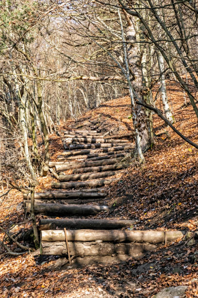 istock Footpath in deciduous forest, Vapec hill, Strazov Mountains, Slovakia 1197808558