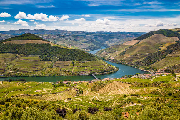 istock Douro Valley - Vila Real District, Portugal 1197808588