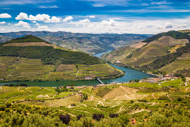 Douro Valley - Vila Real District, Portugal stock photo