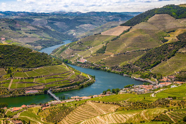 istock Douro Valley - Vila Real District, Portugal 1197808590