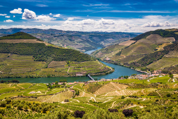 douro valley - vila real district, portugal - douro imagens e fotografias de stock