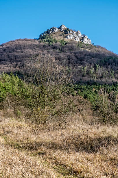 istock Vapec hill, Strazov Mountains, Slovakia 1197808706