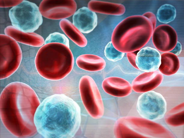 Red and white blood cells Red and white blood cells. 3d illustration white blood cell stock pictures, royalty-free photos & images