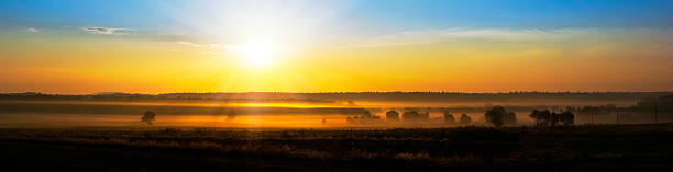 rising sun above the foggy field stock photo