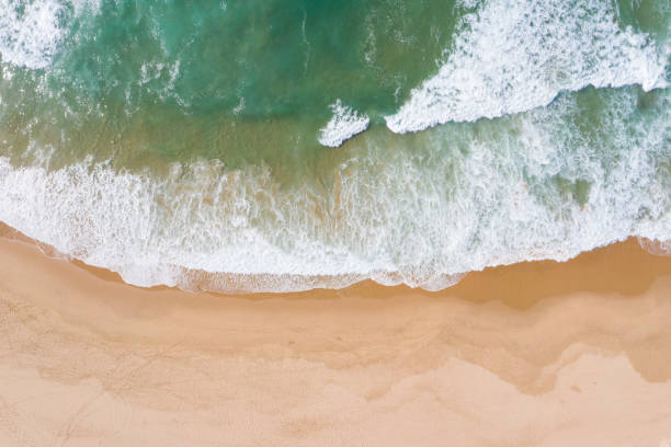 istock High angle view of waves along a sandy beach 1197824588