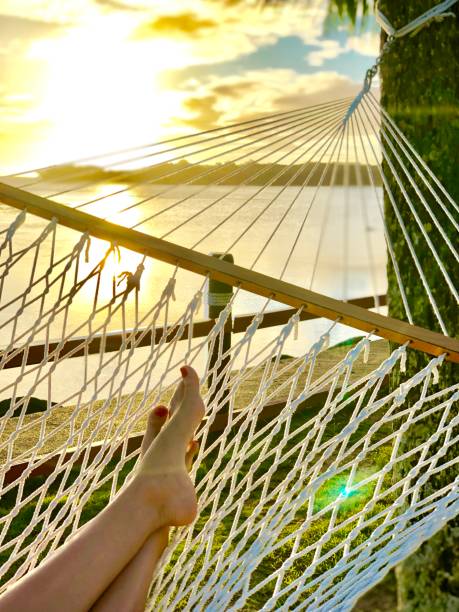 istock Tranquility at Fiji 1197825383