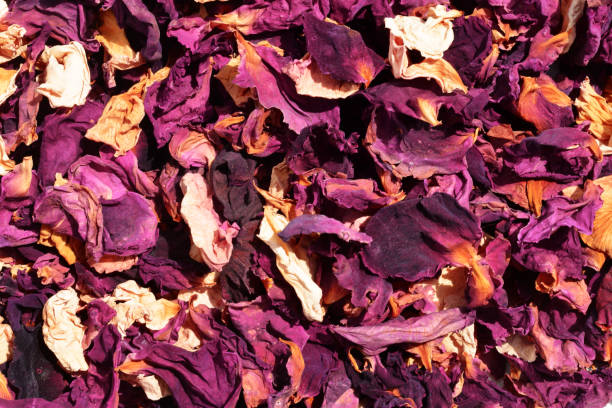 istock dried and fragrant rose petals 1197827497