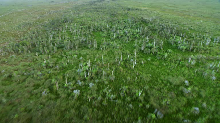 AERIAL Across the Everglades, Florida