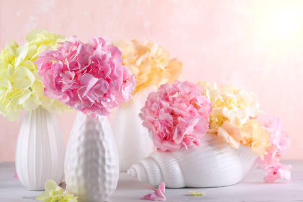 Bouquets of beautiful hydrangea in vases on the  table. Still life with colorful flowers hortensia.