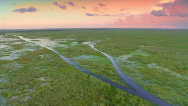 AERIAL Everglades at sunset