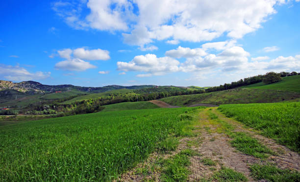istock Beautiful Tuscany landscape, Italy. 1197833004