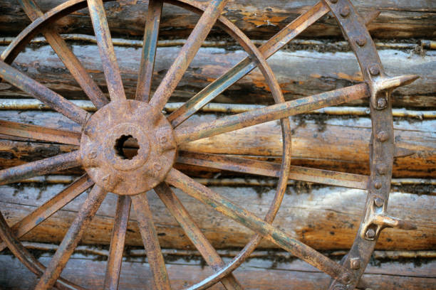 Old wooden horce cart in the forest