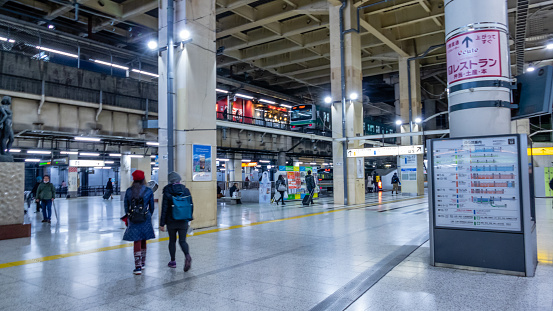 Tokyo, Japan - February 5, 2019: Commuters at Japanese subway station