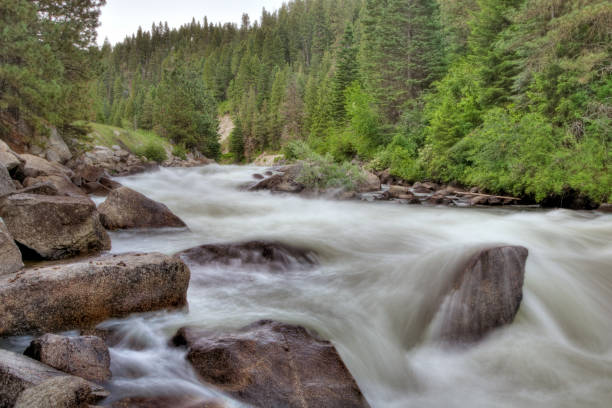istock Rushing river water blurred through the evergreen forest 1197835831