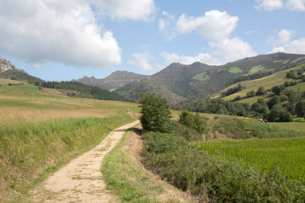 istock Path and Landscape, Villayon 1197837231