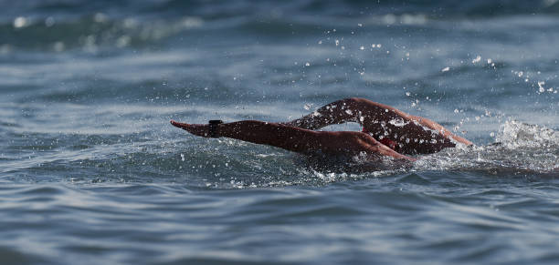 istock Two swimmers swimming at triathlon 1197839729