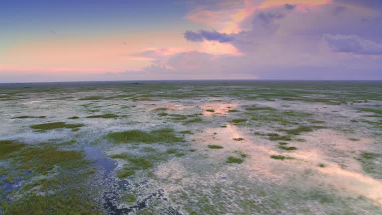 AERIAL Across the Everglades landscape at sunset