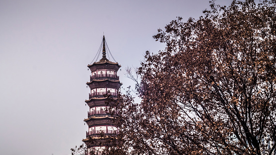 Temple of the Six Banyan Trees . Liurong Temple  a Buddhist landmark temple in Guangzhou . Chinese pagoda with copy space